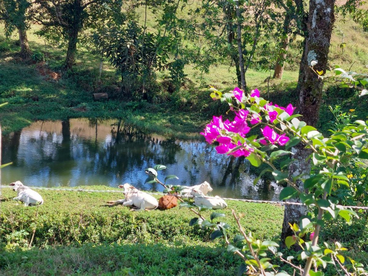 Cabana El Viejo Del Monte Βίλα Venecia Εξωτερικό φωτογραφία